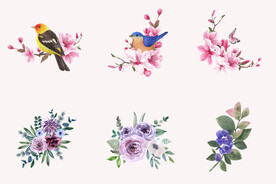 花鸟水彩花朵植物花卉