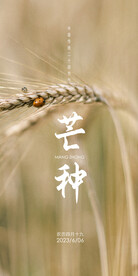 芒种