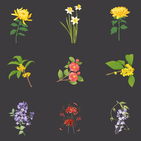 植物花草花朵花卉鲜花插画