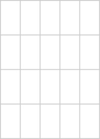 证件照空白模板