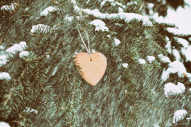 爱心情人节照片素材