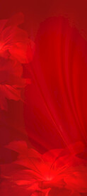 红色背景