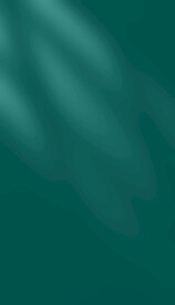 绿色小清新背景