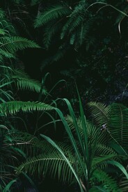 绿色小清新背景