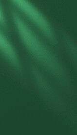 绿色小清新背景