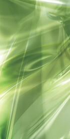 绿色小清新背景