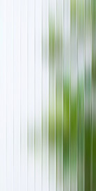 绿色小清新背景