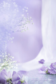 紫色小清新背景