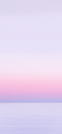 紫色小清新背景