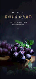 暖场葡萄采摘单图