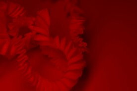 红色背景
