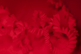 红色背景