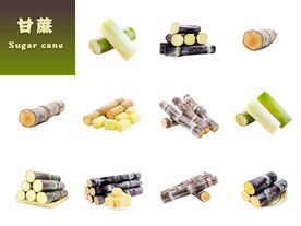 甘蔗