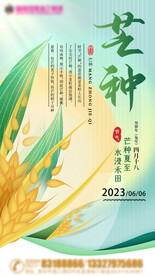 芒种节日海报