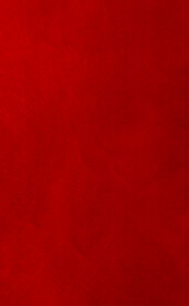 红色背景