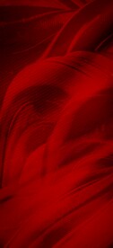 红色背景