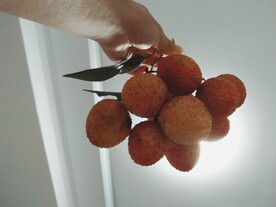 一串荔枝