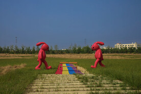 花星球 九龙湾花都 