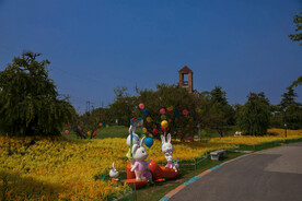 花星球 九龙湾花都  绣球 