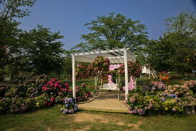 花星球 九龙湾花都 