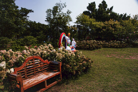 花星球 九龙湾花都  