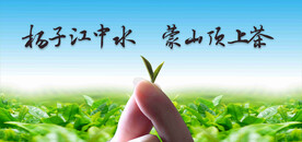 扬子江中水 蒙山顶山茶