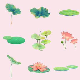 夏季荷花荷叶莲花睡莲