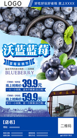 蓝莓采摘团购分销海报