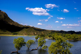 蓝天白云水中树林