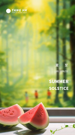 夏至立夏大暑小暑海报