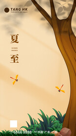 夏至立夏二十四节气海报