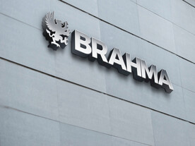 公司形象logo样机 