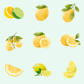 柠檬青柠水果切片