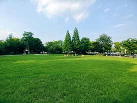 蓝天白云绿草地