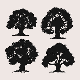大树剪影