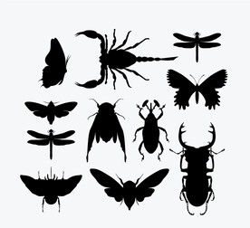 昆虫剪影