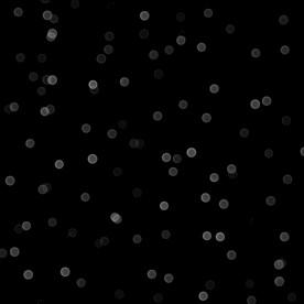 黑白格调光点光晕素材