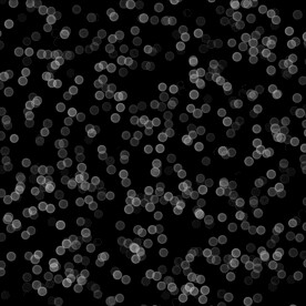 黑白格调光点光晕素材