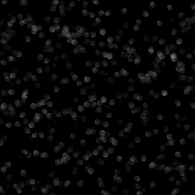 黑白格调光点光晕素材