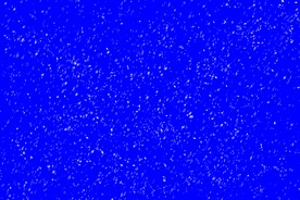 透明雪花粒子免扣下雪素材