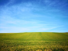 蓝天草地