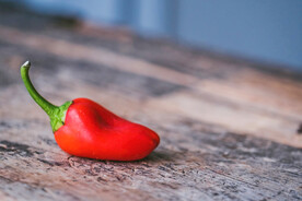 红辣椒
