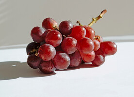 葡萄