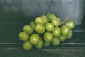 葡萄