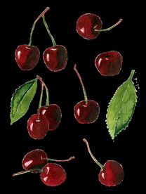 水彩樱桃