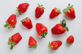 草莓