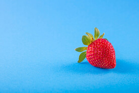 草莓