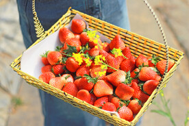 一篮草莓