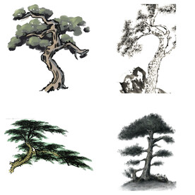 水墨松树松枝迎客松水墨画