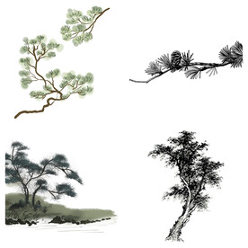 中国风水墨松树松枝迎客松水墨画